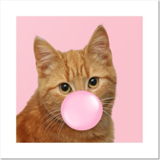 Bubble Gum Cat Posters and Art
